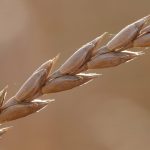 Essential Tips for Crafting a Compelling Cover Letter for Public Sector Jobs in the UK