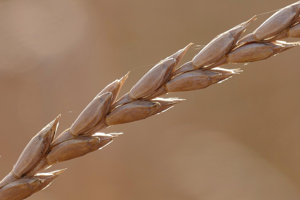 Essential Tips for Crafting a Compelling Cover Letter for Public Sector Jobs in the UK