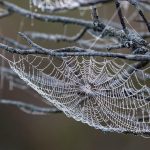 Essential Interview Guide for Aspiring Web Project Managers: Tips and Strategies for Success