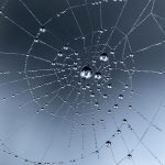 Essential Web Content Manager Interview Guide: Tips and Questions for Success