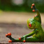 Navigating Career Roadmaps for Training and Development Officers: A Comprehensive Guide