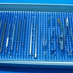 Essential Interview Guide for Tree Surgeons: Tips and Techniques for Success