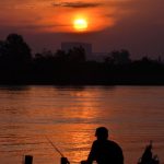 Crafting an Impressive Cover Letter for Special Educational Needs Coordinator Roles: Tips and Examples