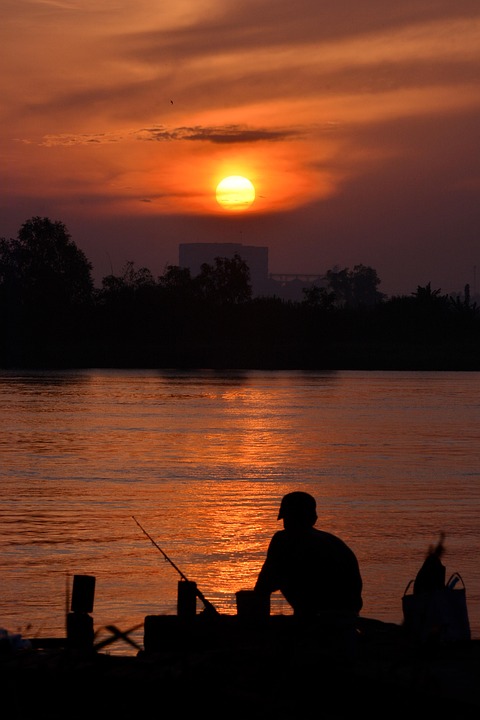 Crafting an Impressive Cover Letter for Special Educational Needs Coordinator Roles: Tips and Examples