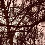 Essential Visual Effects Artist Resume Template: Stand Out in the UK Job Market