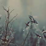 Essential Web Project Manager Resume Template: Stand Out in Your Job Search