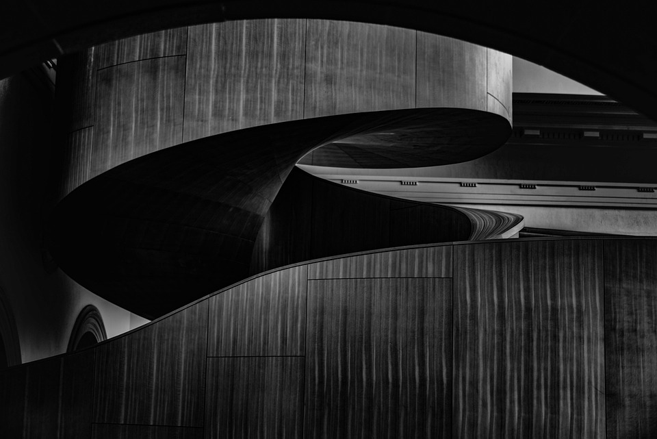 Navigating a Career as a Museum Curator: Essential Roadmaps for Aspiring Professionals