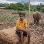 Essential Interview Guides for Carers: Tips and Strategies to Succeed in Your Care Career