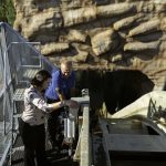 Ultimate Design Engineer Resume Template: Stand Out in Your Job Search