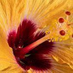 Essential Debt Collector Interview Guide: Tips and Strategies for Success