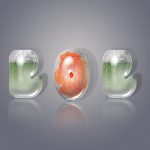 Navigating Your Career Roadmap in Illustrator: Essential Steps for Success