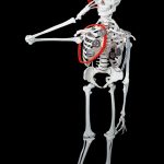 How to Craft an Impactful Cover Letter for a Compliance Officer Position: Tips and Best Practices