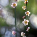 Essential Interview Guides for Early Years Practitioners: Tips for Success