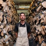 Essential Career Roadmaps for Factory Workers: Navigating Your Path to Success