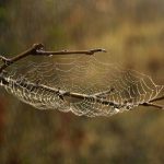 Crafting an Impressive Cover Letter for Web Developers: Essential Tips and Examples