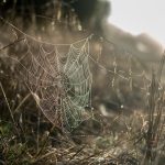 Essential Interview Tips for Aspiring Beauty Therapists: Your Ultimate Guide