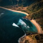 Essential Marine Biologist Resume Template: Stand Out in Your Career