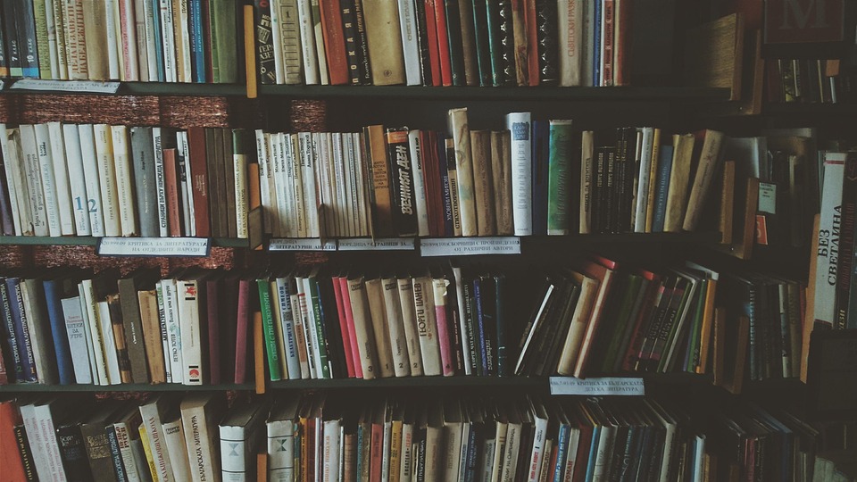 Navigating Your Career Path in Publishing: Essential Roadmaps for Aspiring Professionals