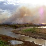 Navigating Your Career Path as an Environmental Consultant: Essential Roadmaps and Insights