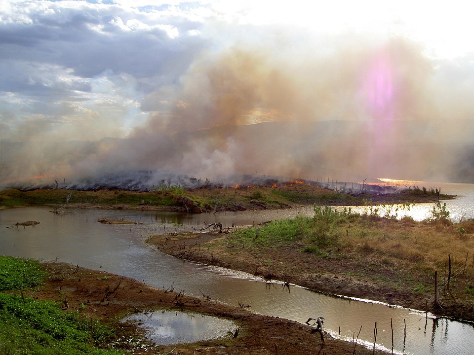 Navigating Your Career Path as an Environmental Consultant: Essential Roadmaps and Insights