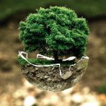 How to Craft an Impressive Cover Letter for Environmental Consultant Roles: A Step-by-Step Guide