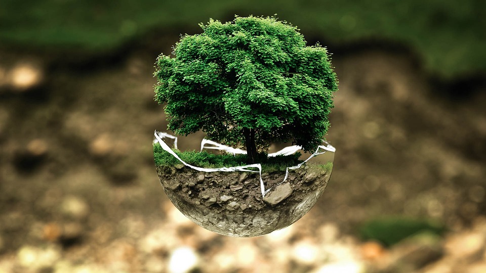 How to Craft an Impressive Cover Letter for Environmental Consultant Roles: A Step-by-Step Guide