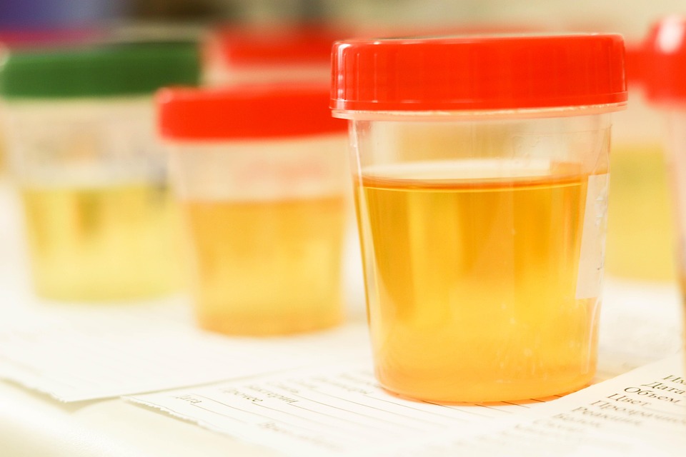 Essential Laboratory Technician CV Template: Your Guide to Crafting a Winning Resume