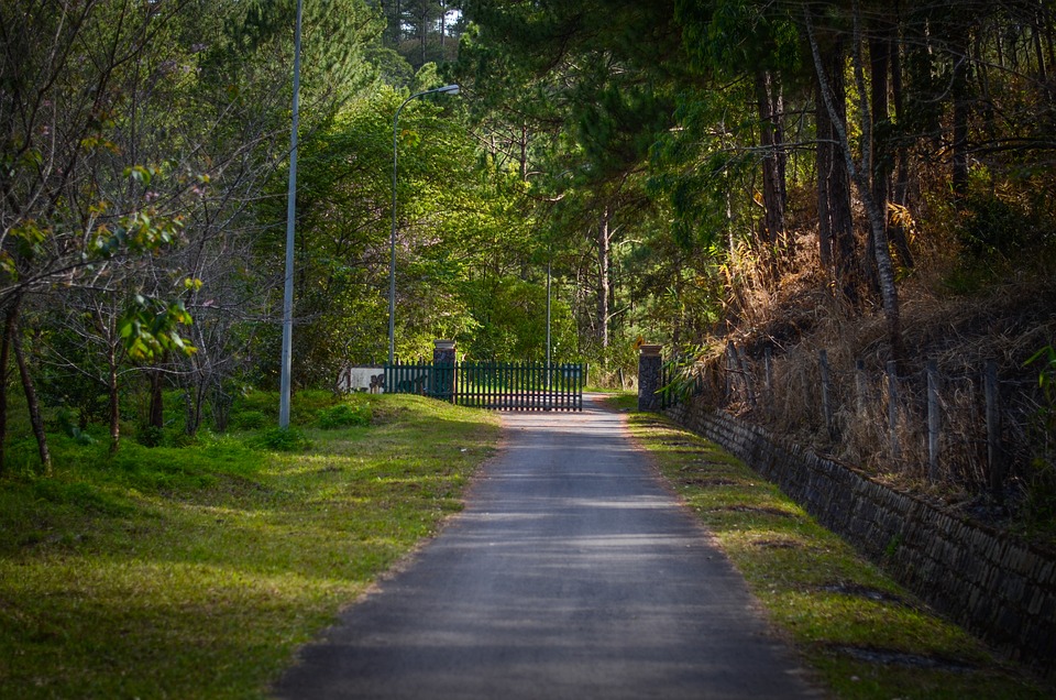 Navigating Your Career as a Private Investigator: Essential Roadmaps for Success in the UK