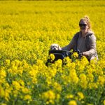 Essential Interview Guide for Aspiring Tour Guides: Tips and Strategies for Success
